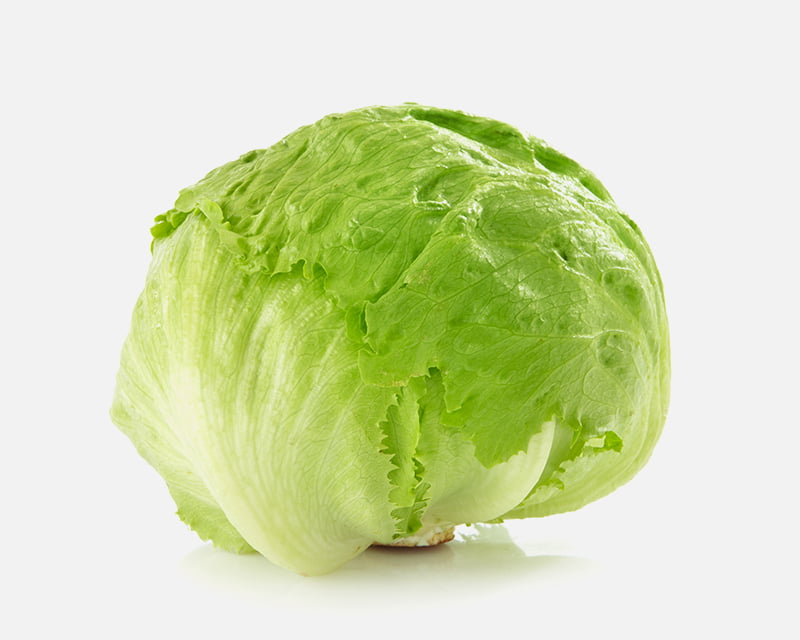 lechuga icerberg