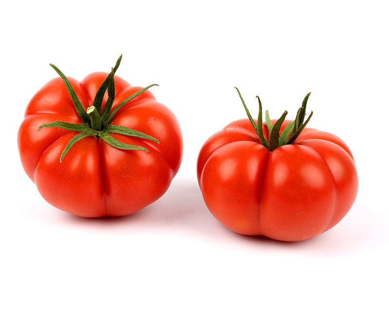 tomate rebellion