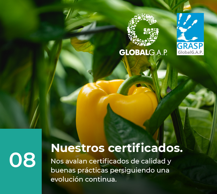 Certificados de calidad