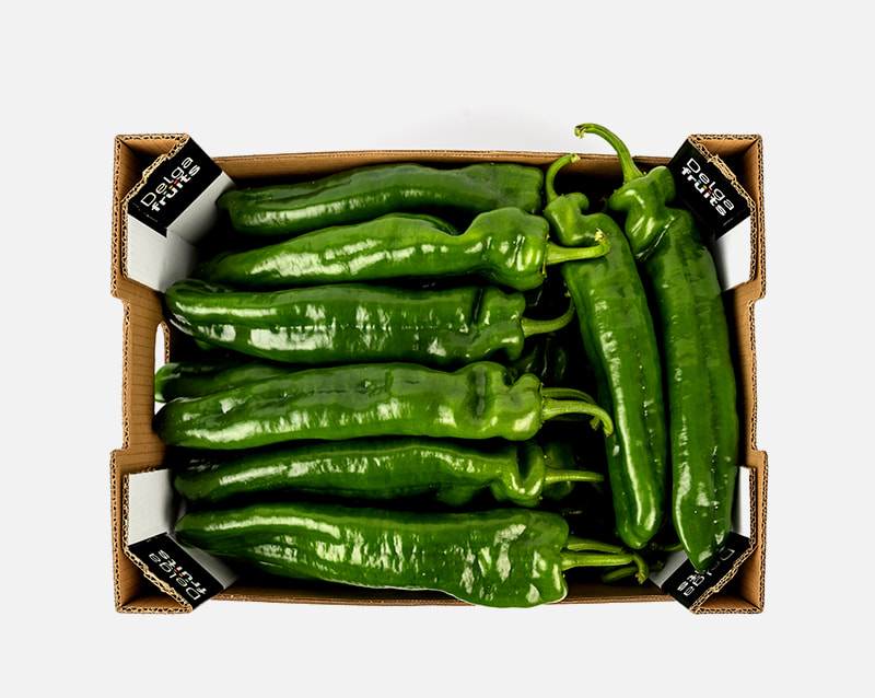 pimiento-verde-pack-2