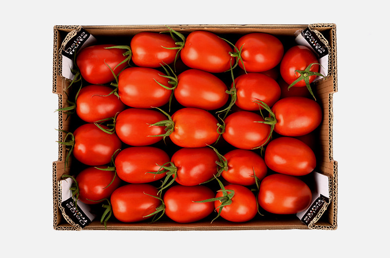 tomate-pera-pack-2