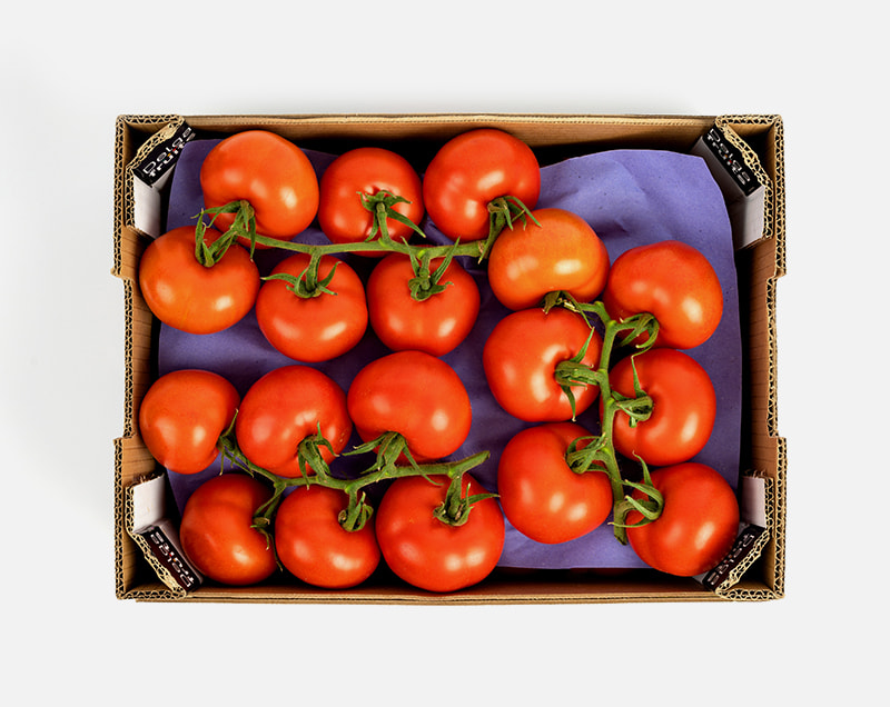 tomate-rama-pack-3